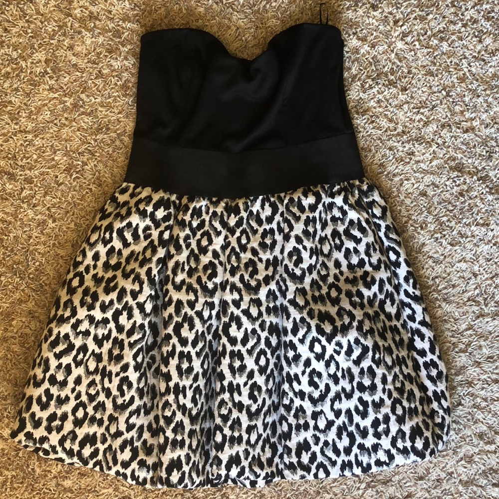 Cocktail Dress